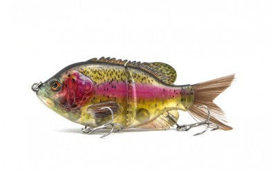 Fishing Baits & Lures