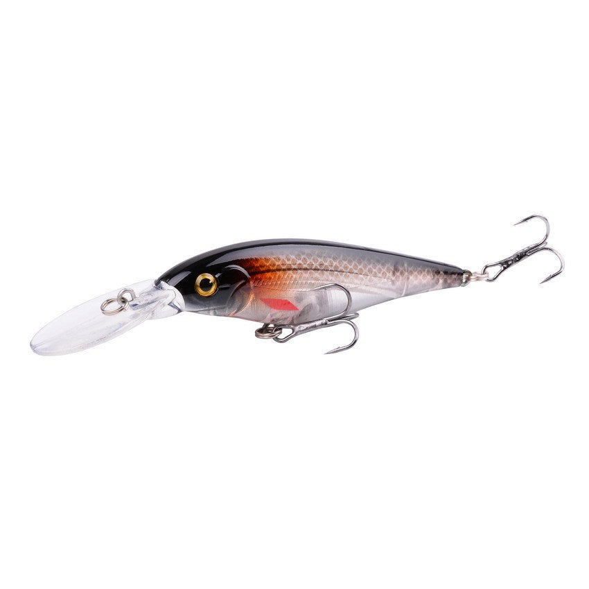 Fishing Baits & Lures