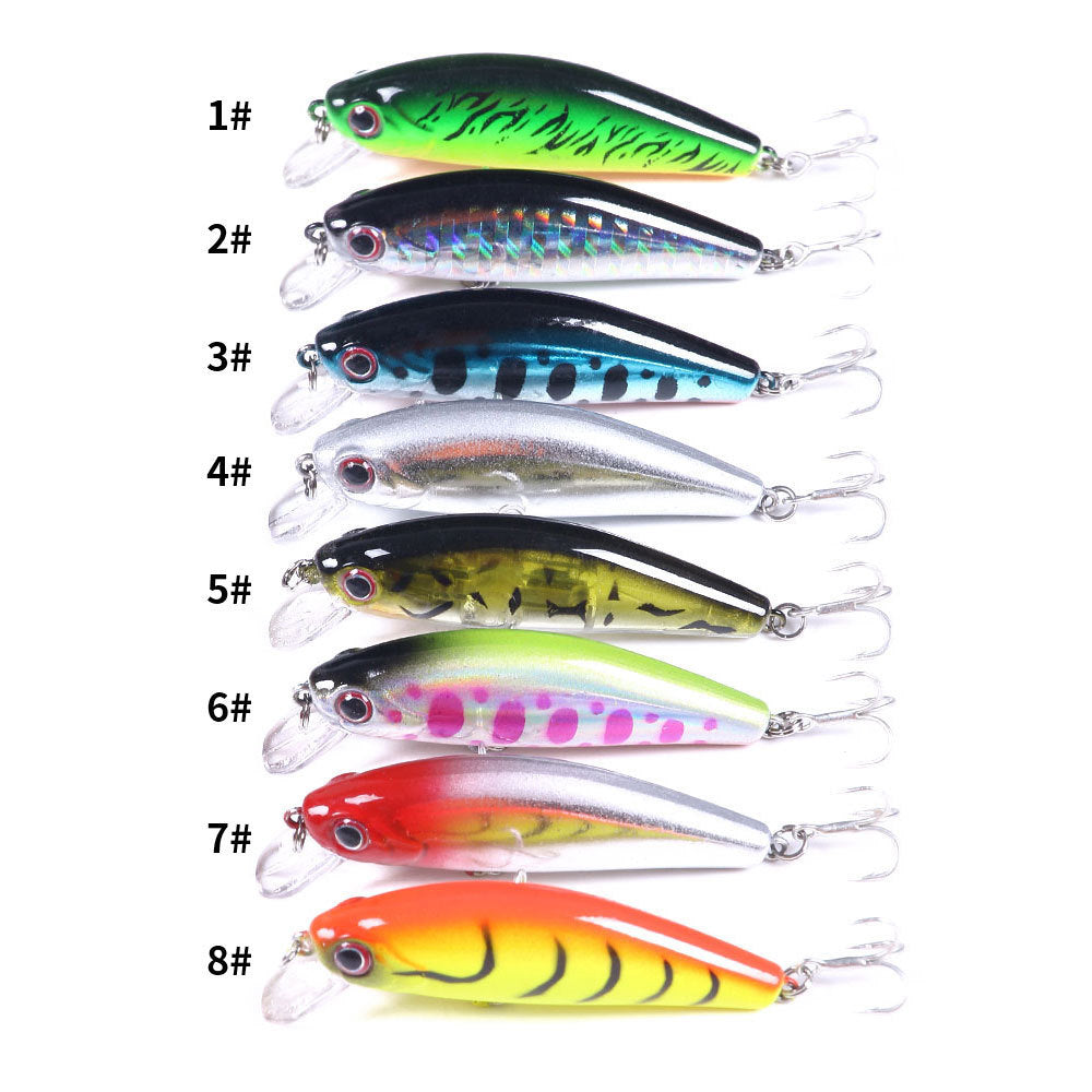 Fishing Baits & Lures