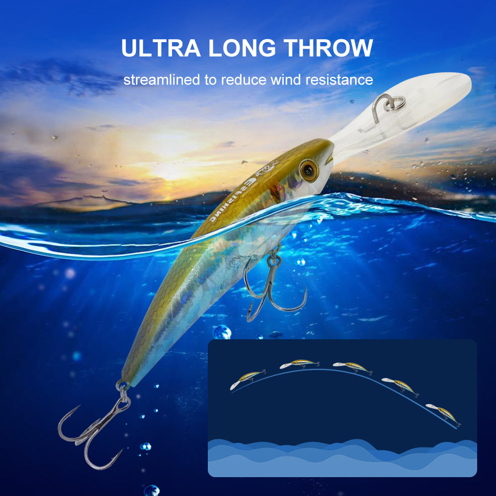 Fishing Baits & Lures 