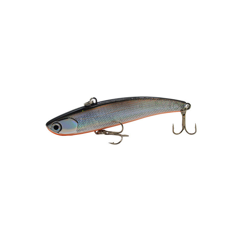 Fishing Baits & Lures 