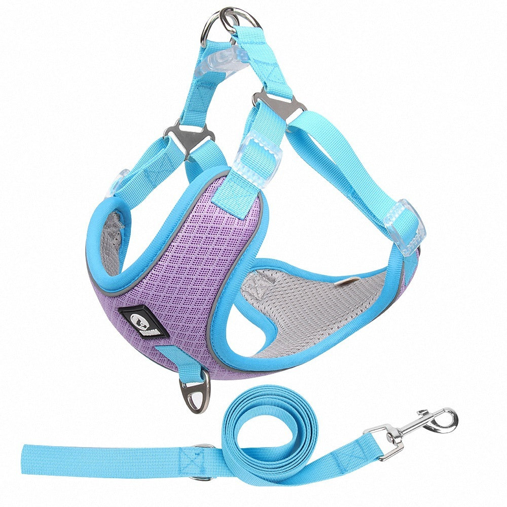 Pet Collars & Harnesses