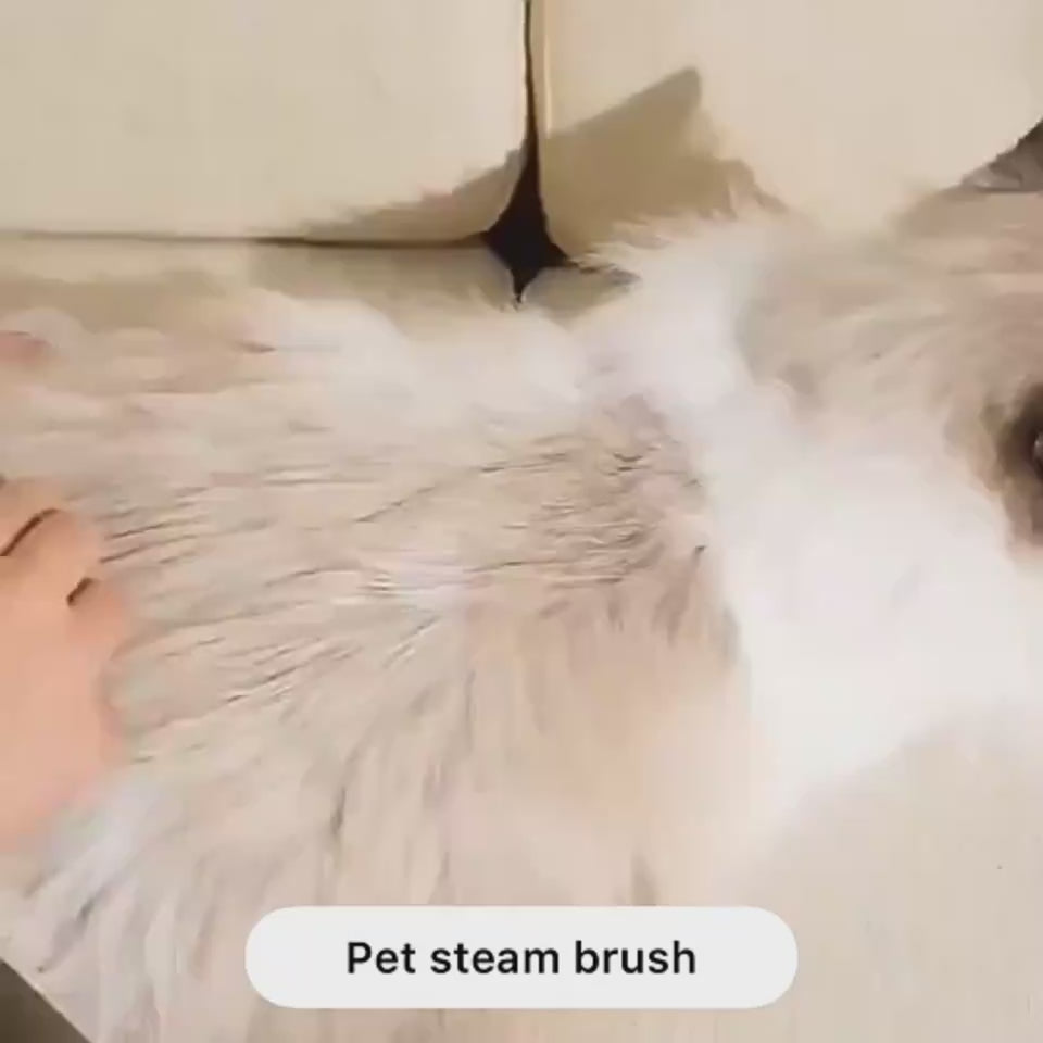 Steamy Cat Brush Cat Dog Grooming Comb Electric Self Cleaning Steam Cat Brush For Massage Avocado Shape Pet Spray Cat Grooming