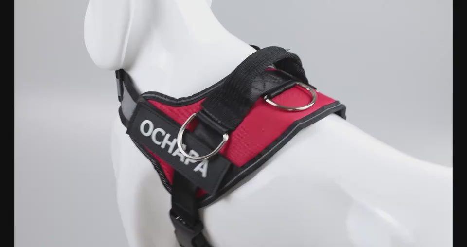 Pet Harness Vest