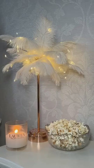 Remote Control Feather Table Lamp USB Battery Power